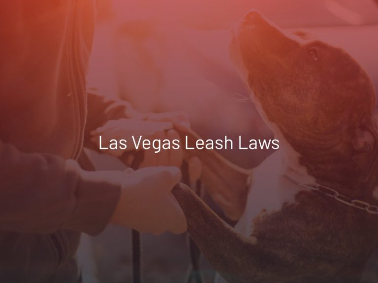 Las Vegas Leash Laws  Harris & Harris Injury Lawyers
