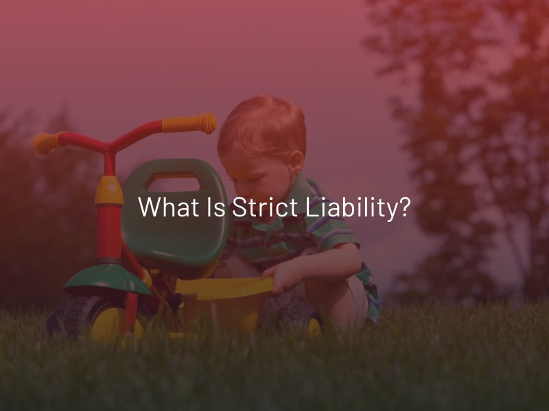 What is Strict Liability?