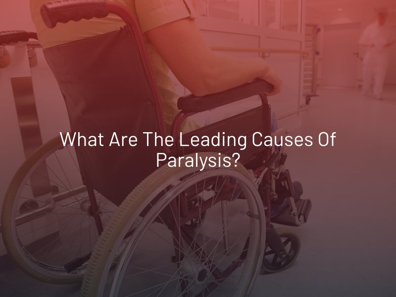 What Are the Leading Causes of Paralysis?